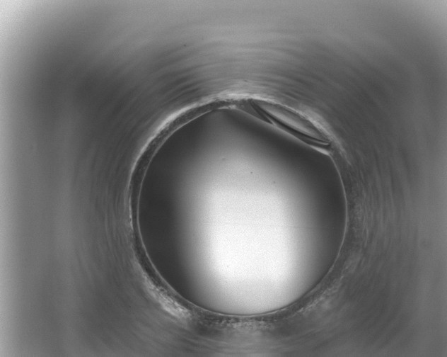 X0000067490934200604101251