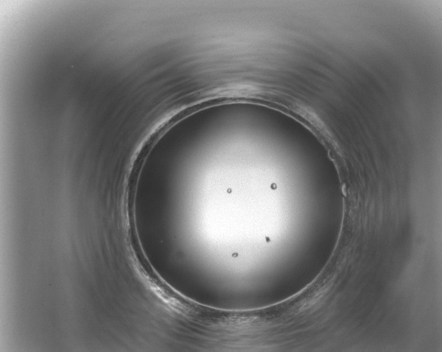 X0000067490939200604101251