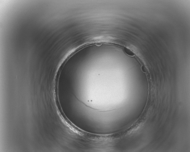 X0000067490941200604101251