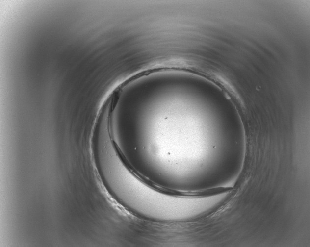 X0000067490944200604101251