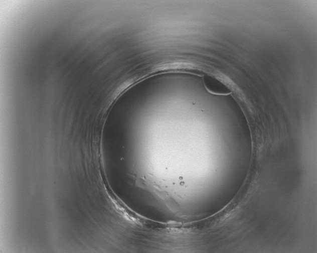 X0000067490945200604101251