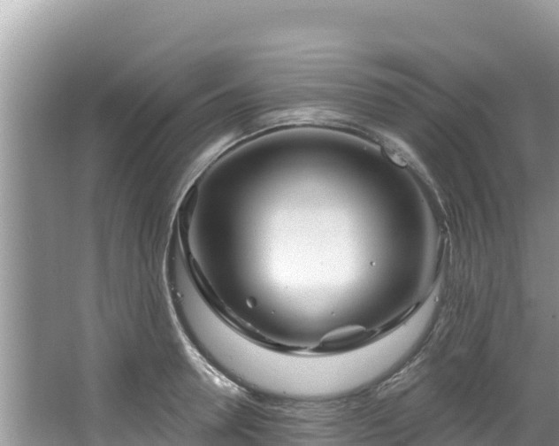 X0000067490946200604101251