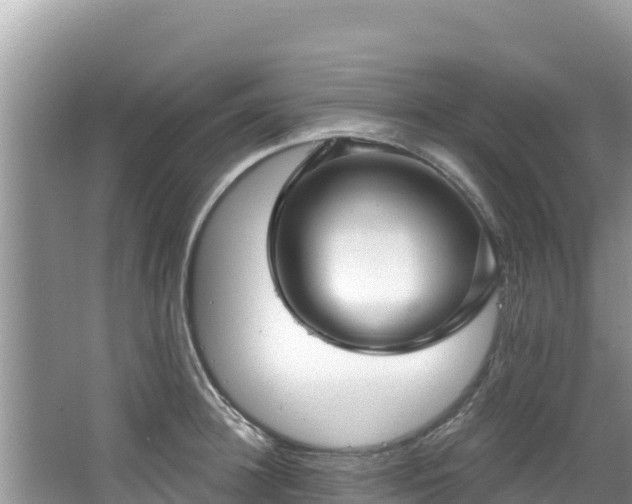 X0000067490948200604101252