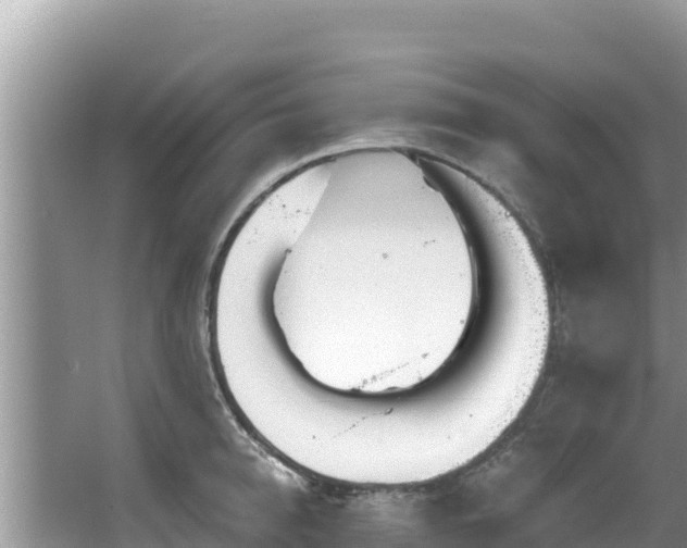 X0000067490950200604101252