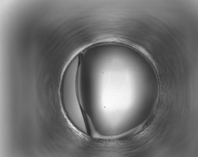 X0000067490951200604101252