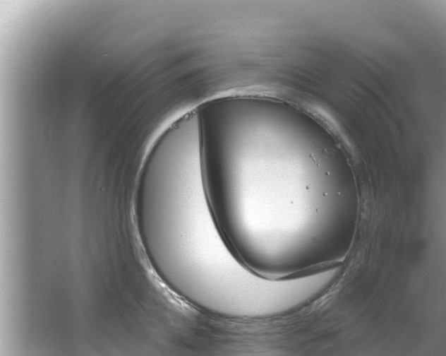 X0000067490952200604101252