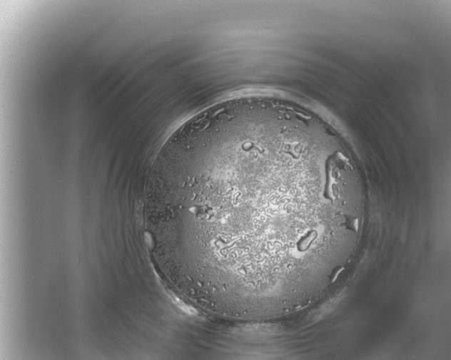 X0000067490953200604101252