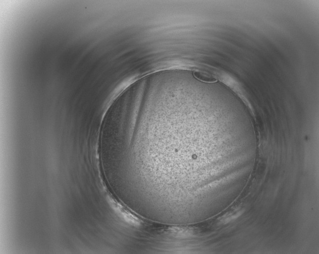 X0000067490954200604101252