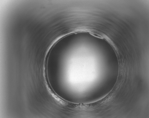 X0000067490955200604101252