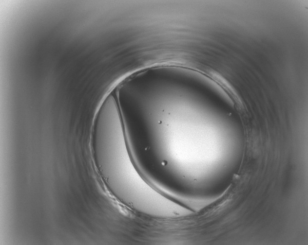 X0000067490956200604101252