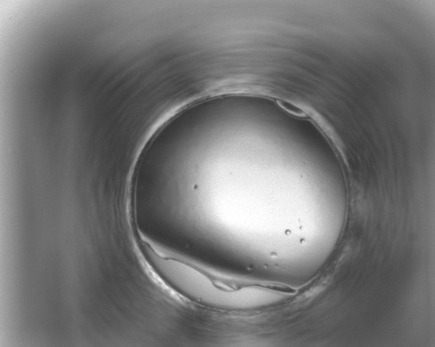 X0000067490957200604101252