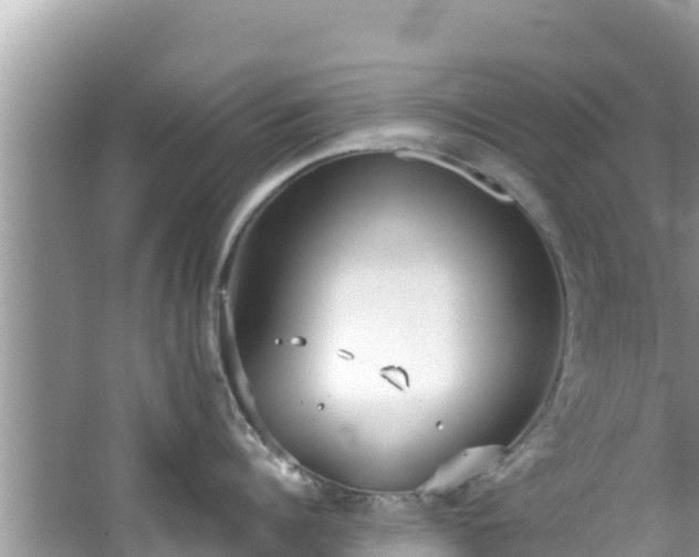 X0000067490960200604101252