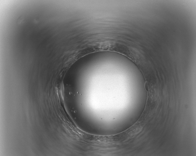 X0000067490962200604101251