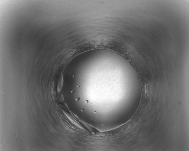 X0000067490963200604101251