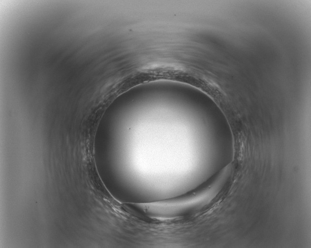 X0000067490965200604101251