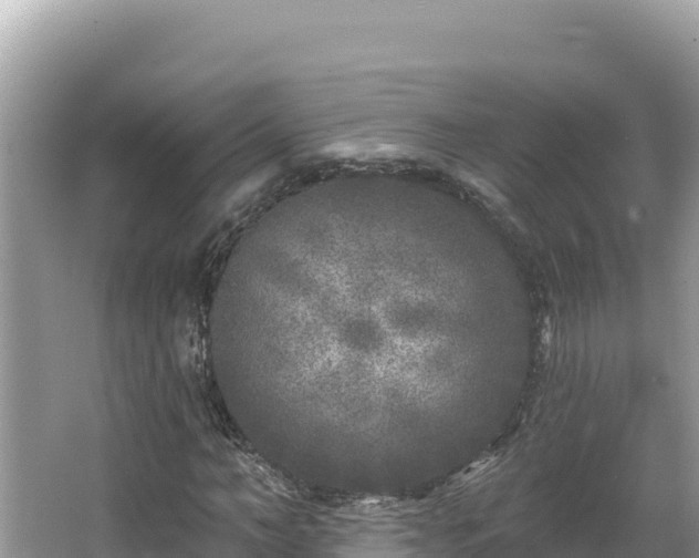 X0000067490966200604101251