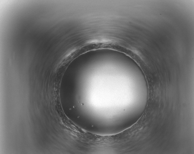 X0000067490967200604101251