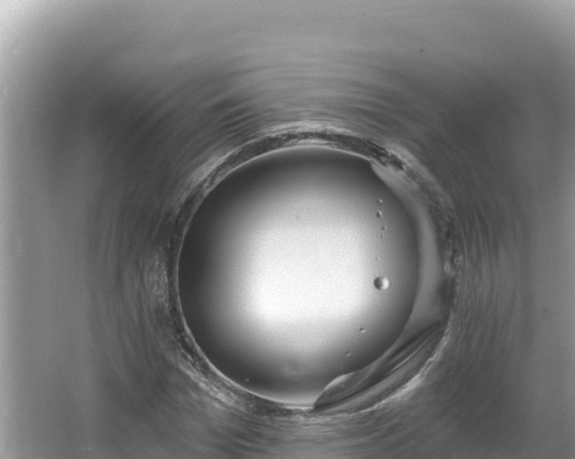 X0000067490969200604101251