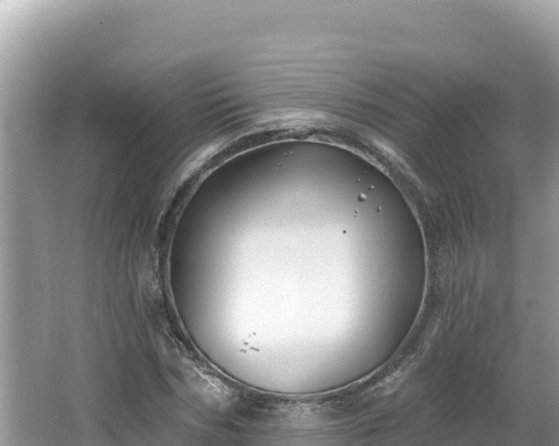 X0000067490970200604101251