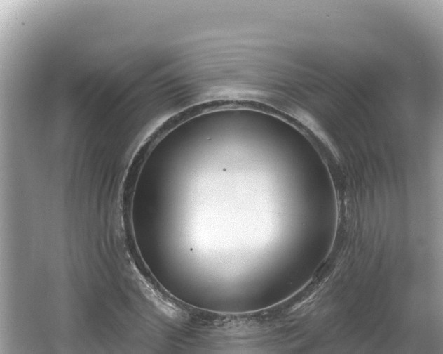 X0000067490972200604101251