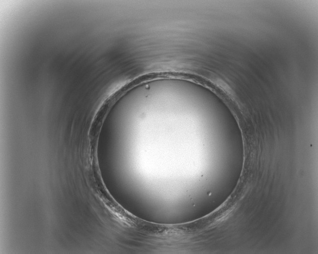 X0000067490974200604101251