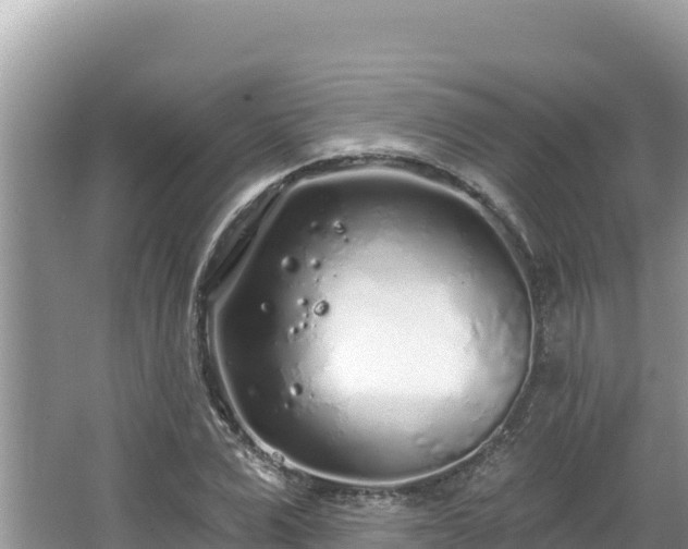 X0000067490975200604101251