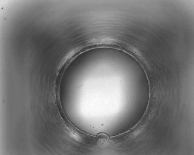 X0000067490978200604101251