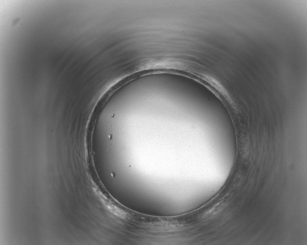 X0000067490980200604101251