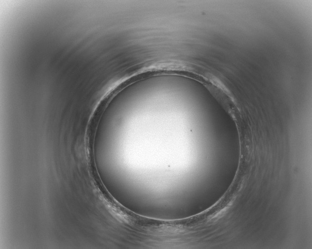 X0000067490981200604101251