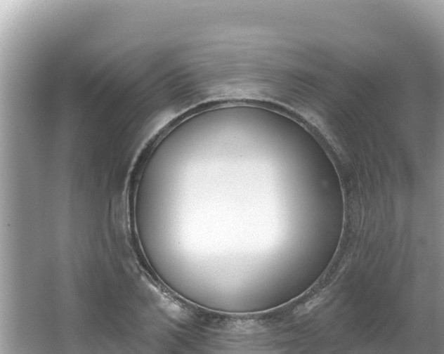 X0000067490982200604101251