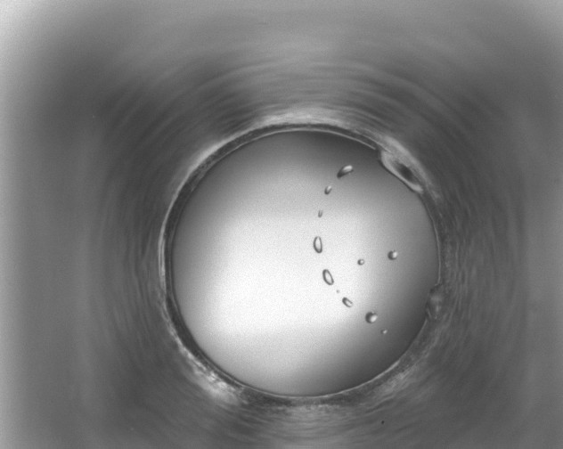 X0000067490988200604101250