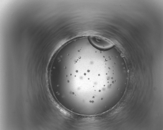 X0000067490990200604101250