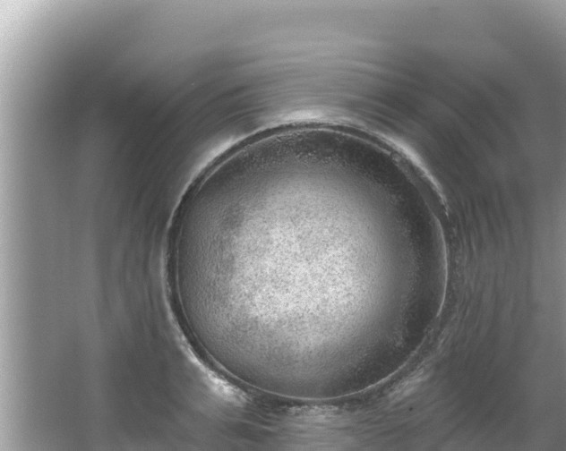 X0000067490991200604101250