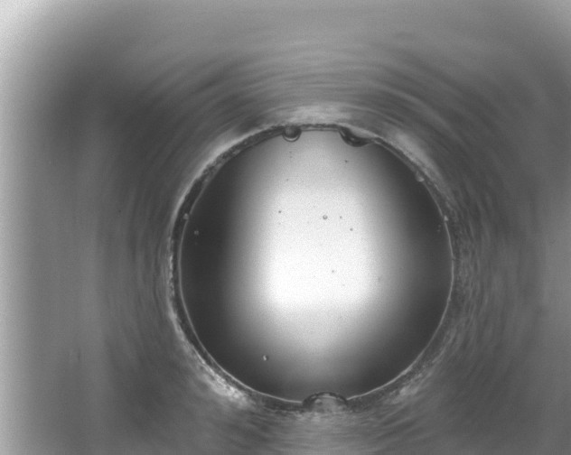 X0000067490992200604101250