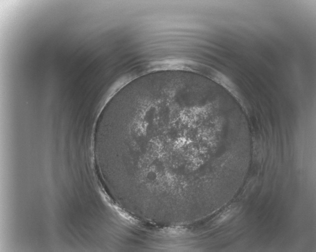 X0000067490994200604101250