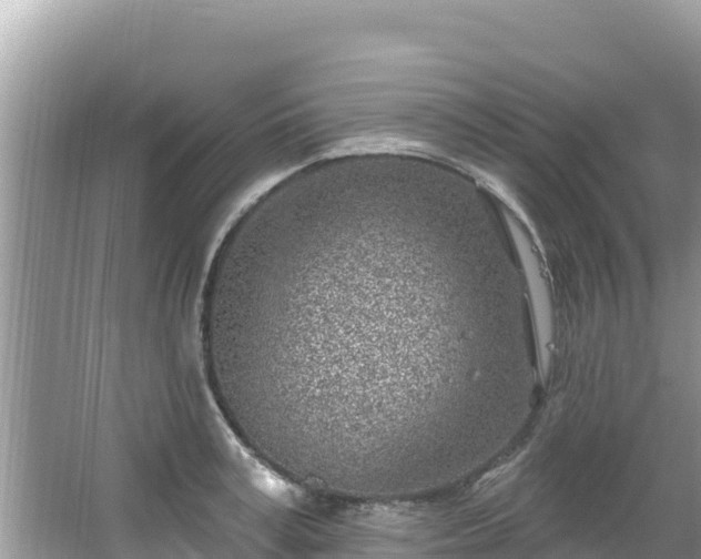 X0000067490995200604101250