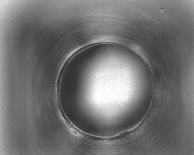 X0000067490996200604101250