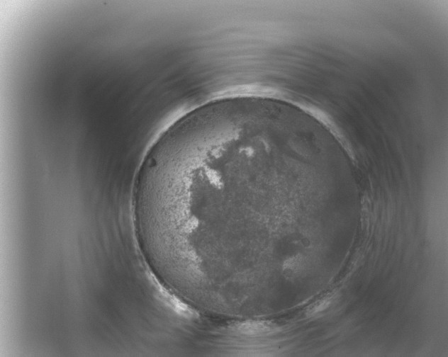 X0000067490998200604101250