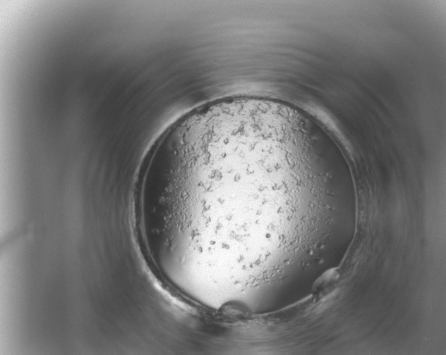 X0000067490999200604101250