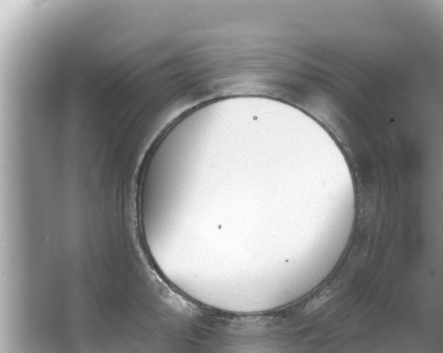 X0000067491000200604101250