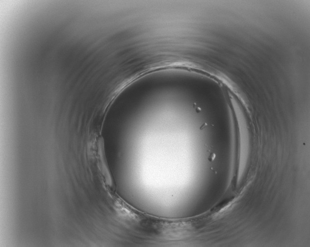 X0000067491001200604101250