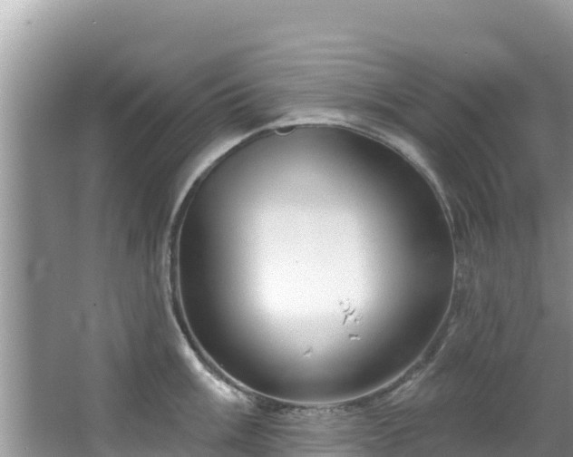 X0000067491003200604101250