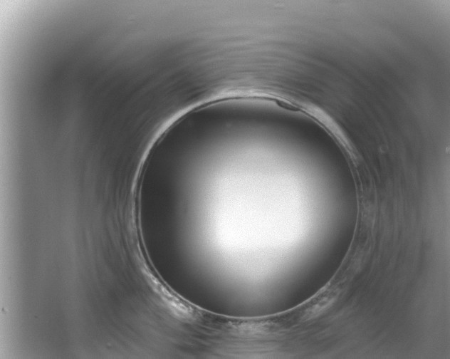 X0000067491004200604101250