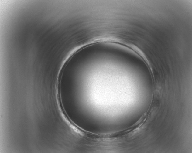 X0000067491005200604101250