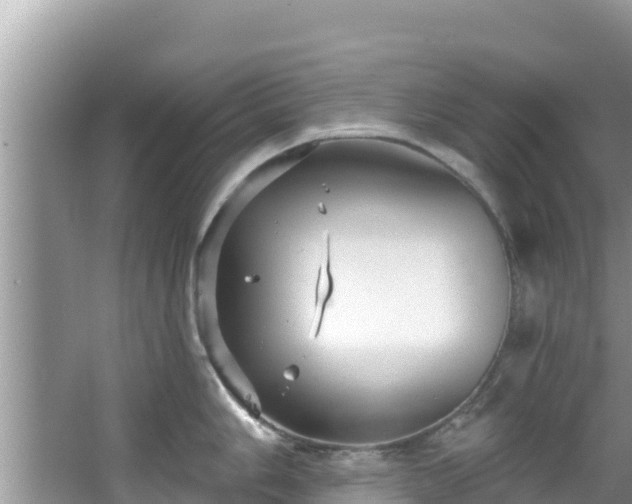 X0000067491006200604101250