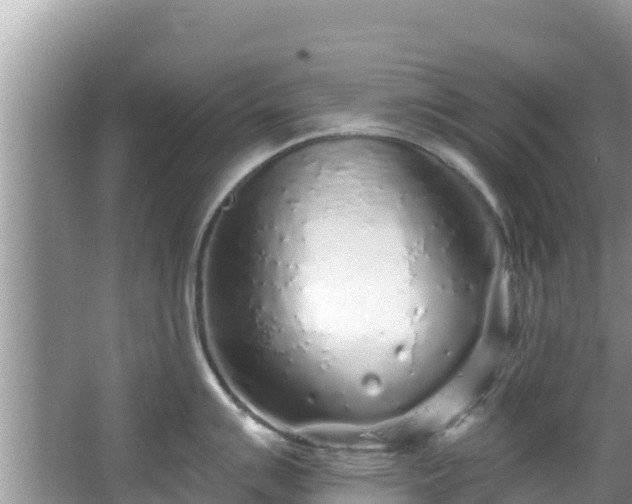 X0000067491007200604101250