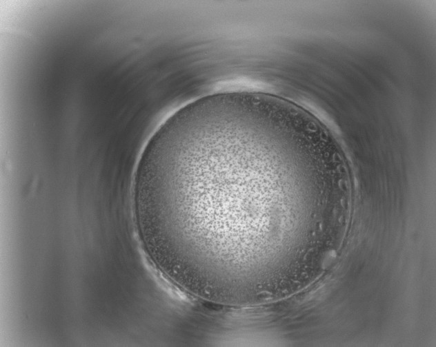 X0000067491008200604101250