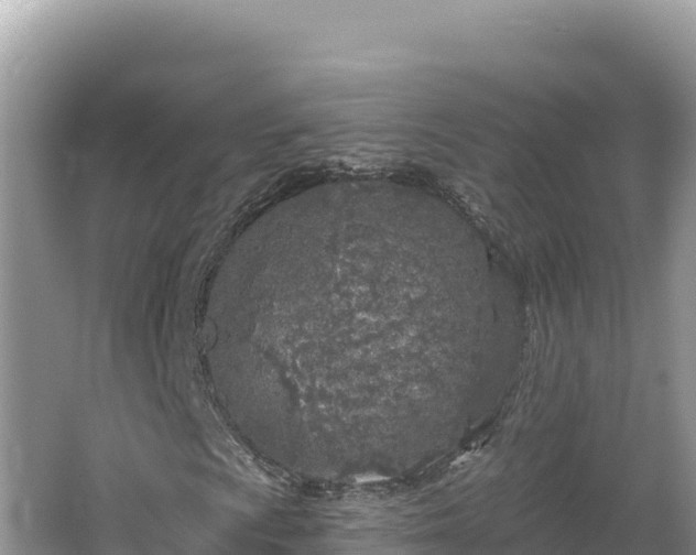 X0000067491009200604101249