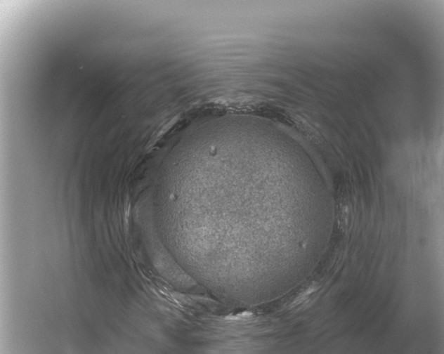 X0000067491010200604101249