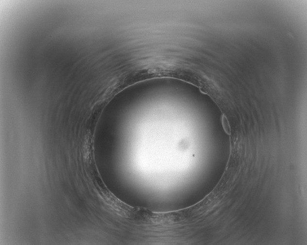 X0000067491012200604101249